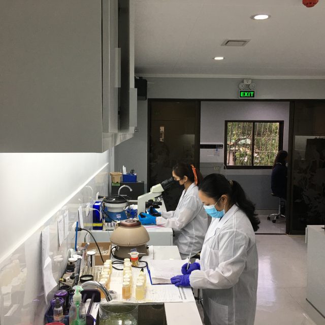 Picture 1 for Medical Laboratory