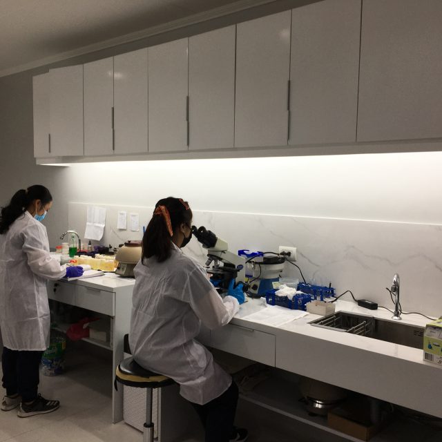 Picture 3 for Medical Laboratory